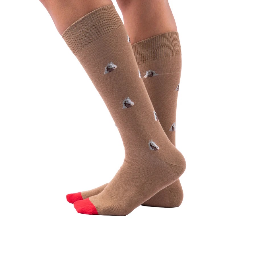 d372f6fe-184d-4b64-8cdf-e31585f9d939